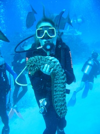 Great Barrier Reef