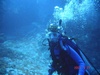 Laurie from Edmonton Alberta | Scuba Diver