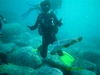 Benedict from Central Coast NSW | Scuba Diver