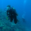 Sandy from Quincy MA | Scuba Diver