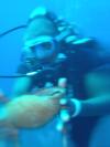 Mohamed from Geneva  | Scuba Diver