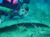 divingcpl from Deerfield Beach FL | Scuba Diver