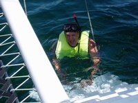 Snorkeling in Cabo