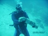 Godfrey from League City TX | Scuba Diver