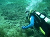 Ken from Spring Hill FL | Scuba Diver