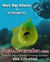 Aqua Sports, Inc. from Fort Lauderdale FL | Dive Center