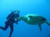 Sandy from Jupiter FL | Scuba Diver