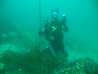 Anacapa Island Summer 07