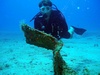 Fred from cancun quintana roo | Dive Center
