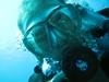 Craig from London Ontario | Scuba Diver