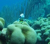Gigi from New York NY | Scuba Diver