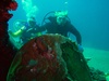 James from Redlands CA | Scuba Diver
