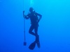 William from Houston TX | Scuba Diver