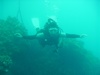 Allison from Ewa Beach HI | Scuba Diver