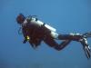 Diving Sea of Cortez