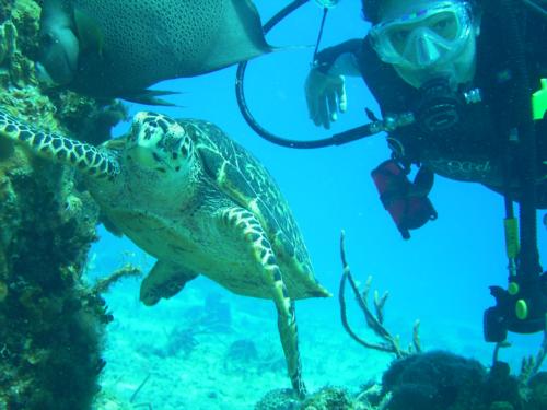 Trip to Cozumel