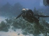 Kelly from St Albert Alberta | Scuba Diver