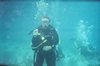 Florida East Coast Diving