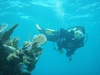 Sarah from Baker FL | Scuba Diver