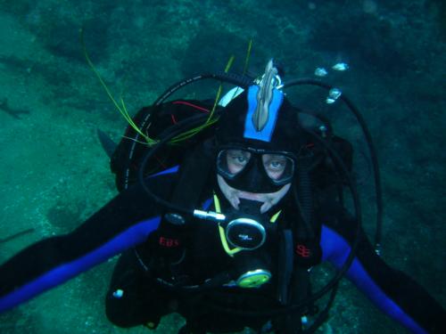 First Blog in a long time (2 short dive trips)