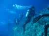 Lynn from Chicago IL | Scuba Diver