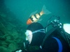 Rick from Hanover MA | Scuba Diver