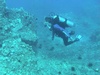 Tim from Turlock CA | Scuba Diver