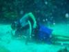 Don from Plantation Fl. | Scuba Diver