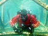 Darth from Lancaster PA | Scuba Diver