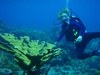 Deanne from Irvine CA | Scuba Diver