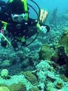 Anna from Dallas TX | Scuba Diver