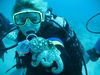 SeaLife Reefmaster Mini Dive Underwater Camera