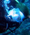 Shawn from Austin TX | Scuba Diver