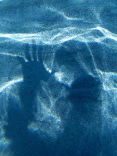 Ghosts Underwater? Yes, there are.
