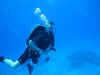 Chris from South Riding VA | Scuba Diver