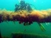 Robert from Balloch  | Scuba Diver