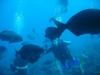 Paul from New York NY | Scuba Diver