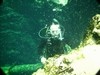 Ricci from Bradenton FL | Scuba Diver