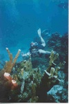 Christopher from Glendale AZ | Scuba Diver