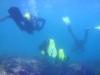 Jason from Mossel Bay Western Cape | Instructor