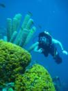 New England Aquarium