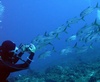 Debbie from Phoenix AZ | Scuba Diver