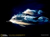 Roy from Portand OR | Scuba Diver