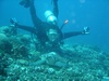 Jodi from Houston TX | Scuba Diver