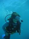 Dive Buddy/Travel Partner for Lower Keys