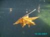 Jon from Christiansburg VA | Scuba Diver
