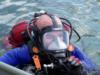 Diving Caymans