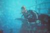 Tiffany from Cockeysville  | Scuba Diver