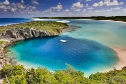 Top Bahamas Dive Sites for 2012