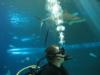 Jeff from Charlotte NC | Scuba Diver